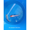koi standard 20-25 cm
