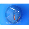 koi standard 20-25 cm
