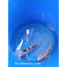 koi standard 20-25 cm