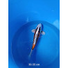 koi slection 30-35cm