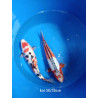koi selection 30-35cm