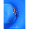 koi voile 20-25 cm