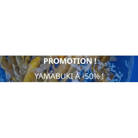 Koï en promotion !